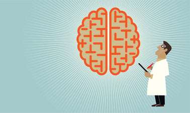 AlaskaX: Behavioral Neuroscience: Foundations of Compulsive Behaviors