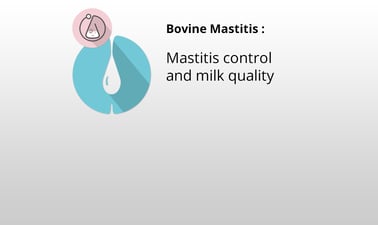UMontrealX: Mastitis control and milk quality