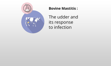 UMontrealX: The udder and its response to infection