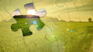 DoaneX: Sustainable Agri-food Marketing