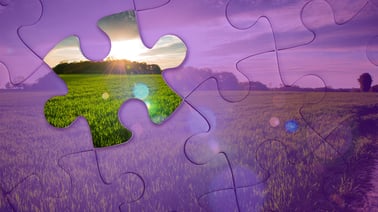 DoaneX: Agri-Food Systems Analysis