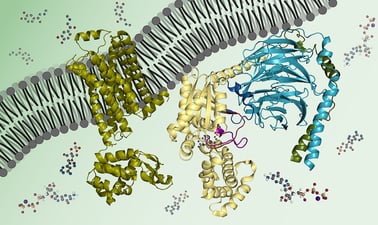 MITx: Biochemistry: Biomolecules, Methods, and Mechanisms