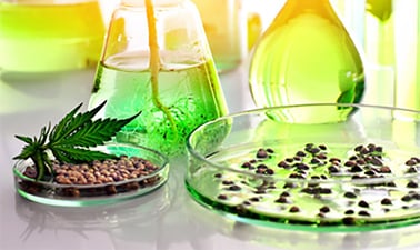 DoaneX: Cannabis Compliance, Testing, and Research