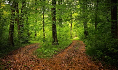 DavidsonX: Pathways to Happiness