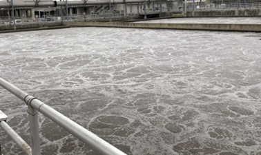 PurdueX: Nutrient Removal and Resource Recovery in Wastewater
