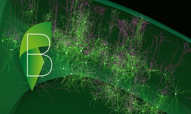 EPFLx: The Multi-scale brain