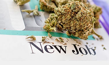 DoaneX: General Overview of Cannabis and the Industry’s Outlook and Professions