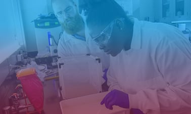 ASUx: Evolutionary Medicine: Microbes, Medicine, and Humanity's Quest for Survival