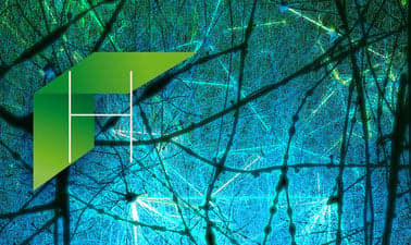 EPFLx: Simulating a Hippocampus Microcircuit