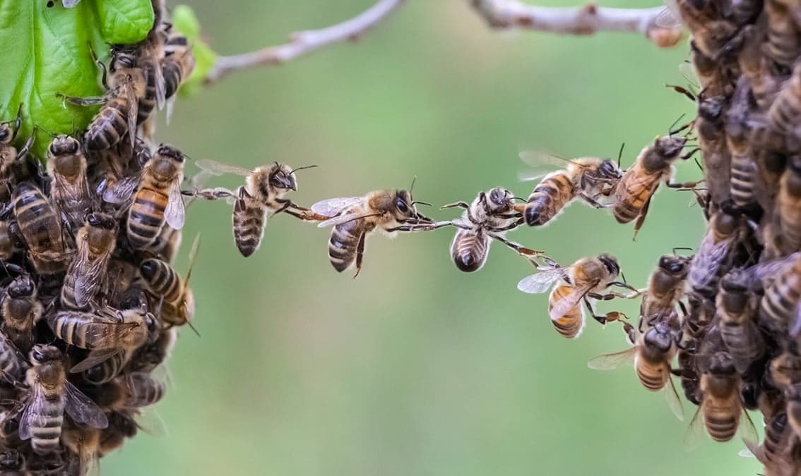 Connection and Community