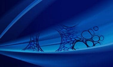 Introduction to Bioethics