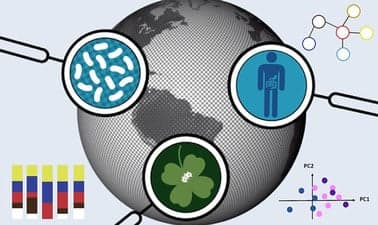 KULeuvenX: How to analyze a microbiome