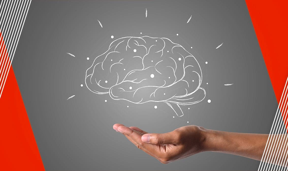 Neuroeducación esencial