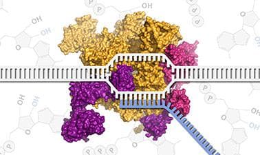 MITx: Molecular Biology - Part 2: Transcription and Transposition