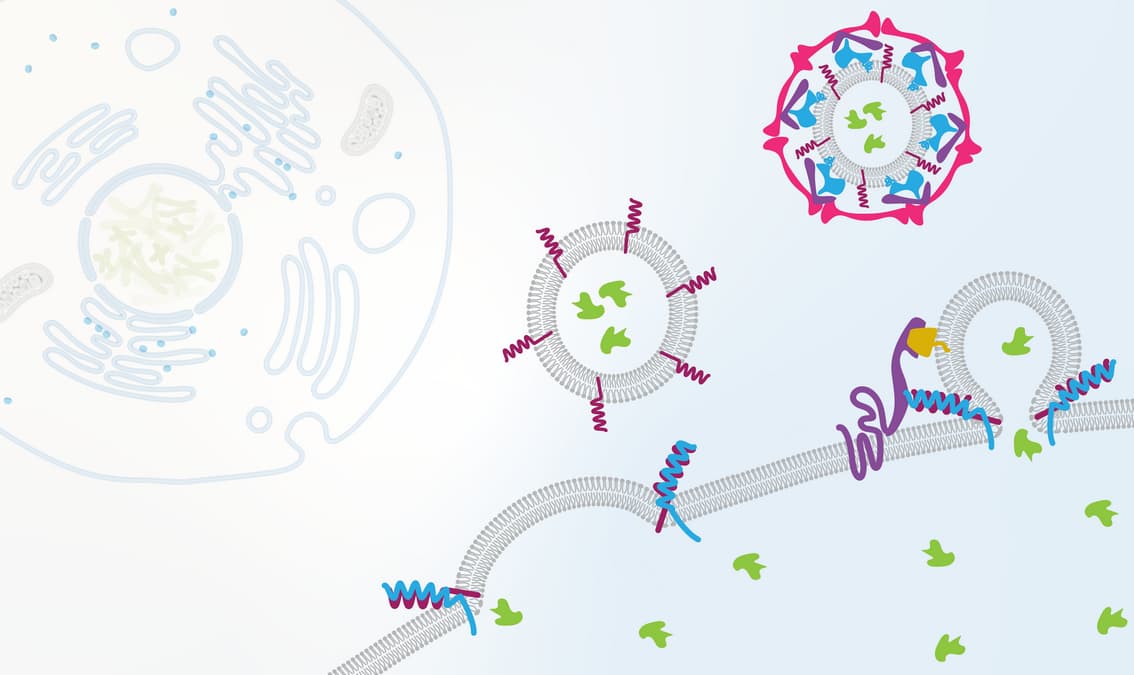 Cell Biology: Transport and Signaling