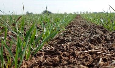 UNCordobaX: Siembra Directa: Contexto Histórico y Agricultura Certificada