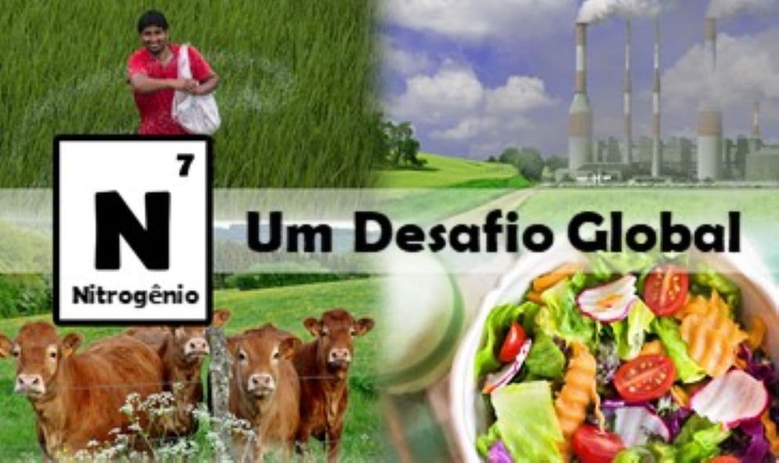 Nitrogen: A Global Challenge (Portuguese)