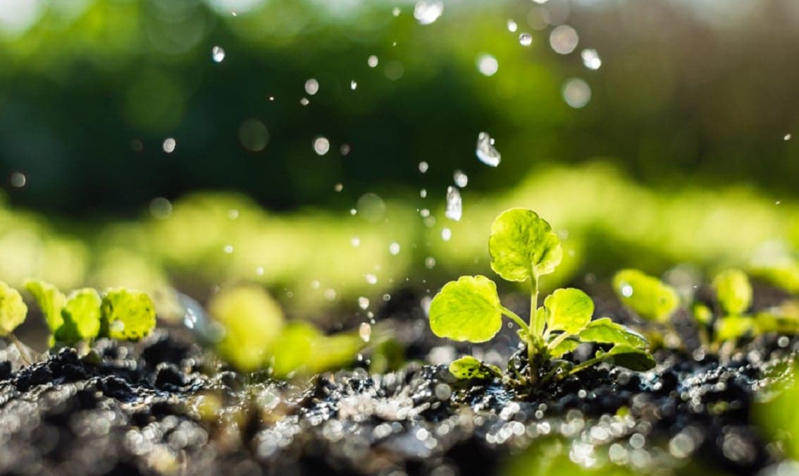 Agricultural Water Management: Water,-Society and Technology Interactions