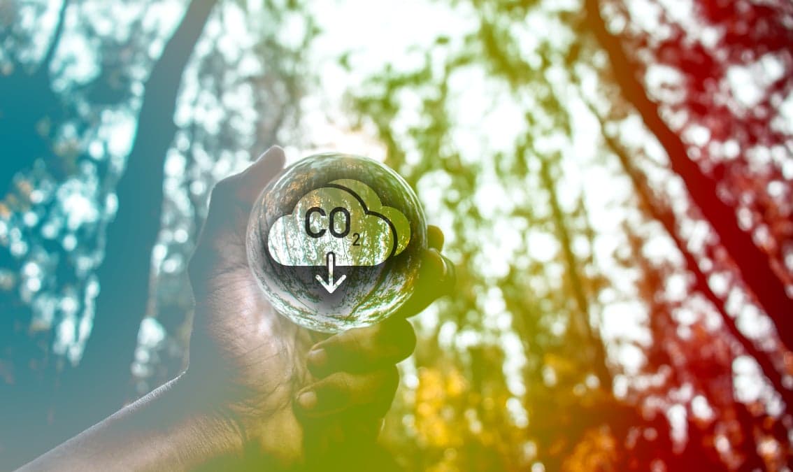 Designing Climate-Neutral Buildings and Transport