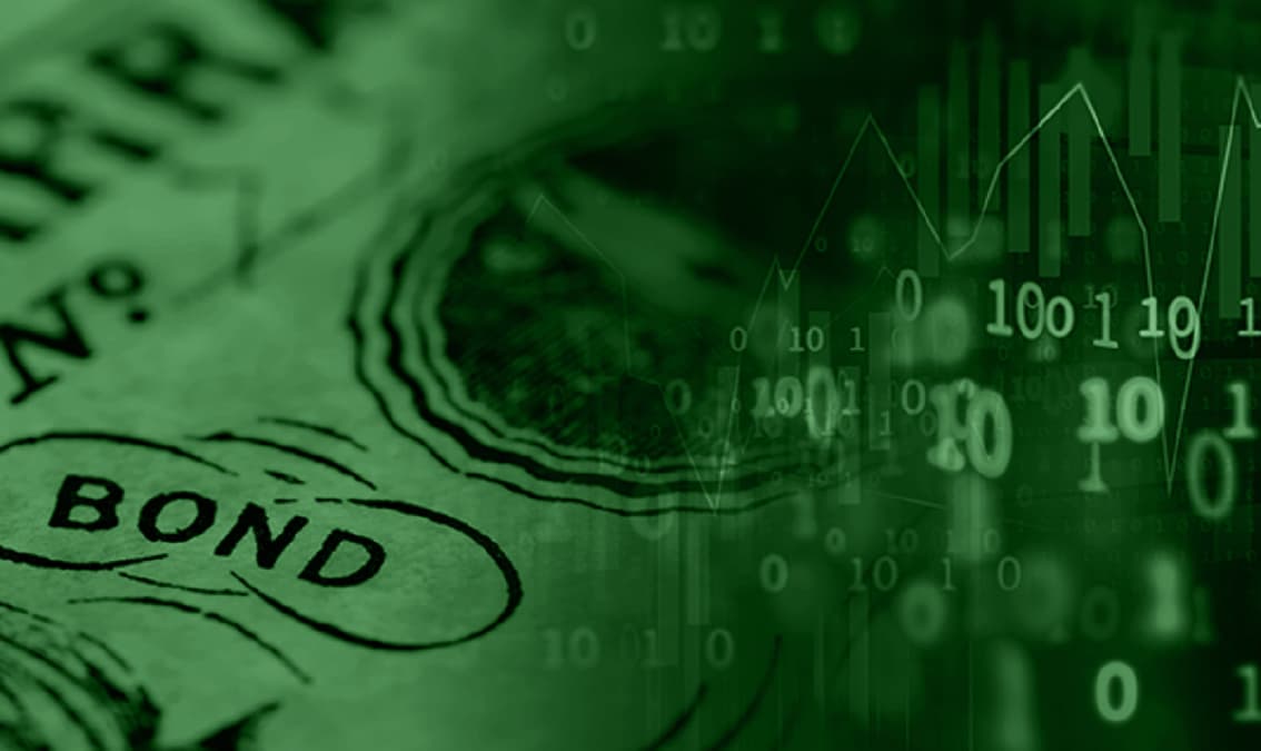 Public Debt, Investment, and Growth: The DIG and DIGNAR Models