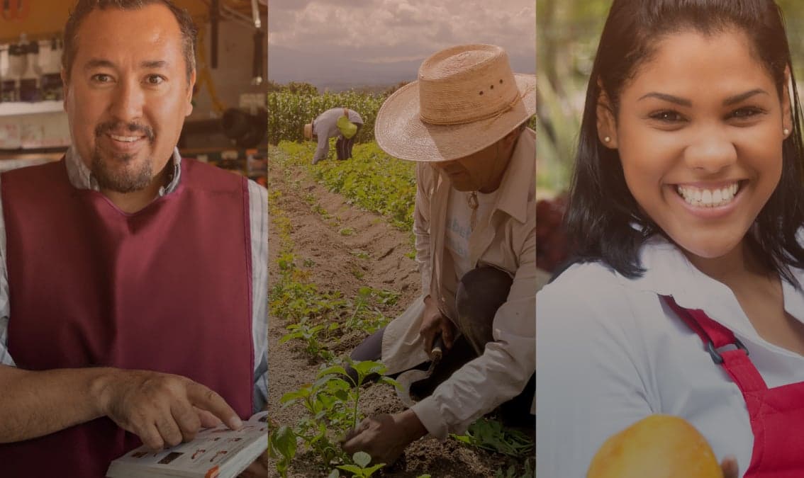 Mercados laborales latinoamericanos