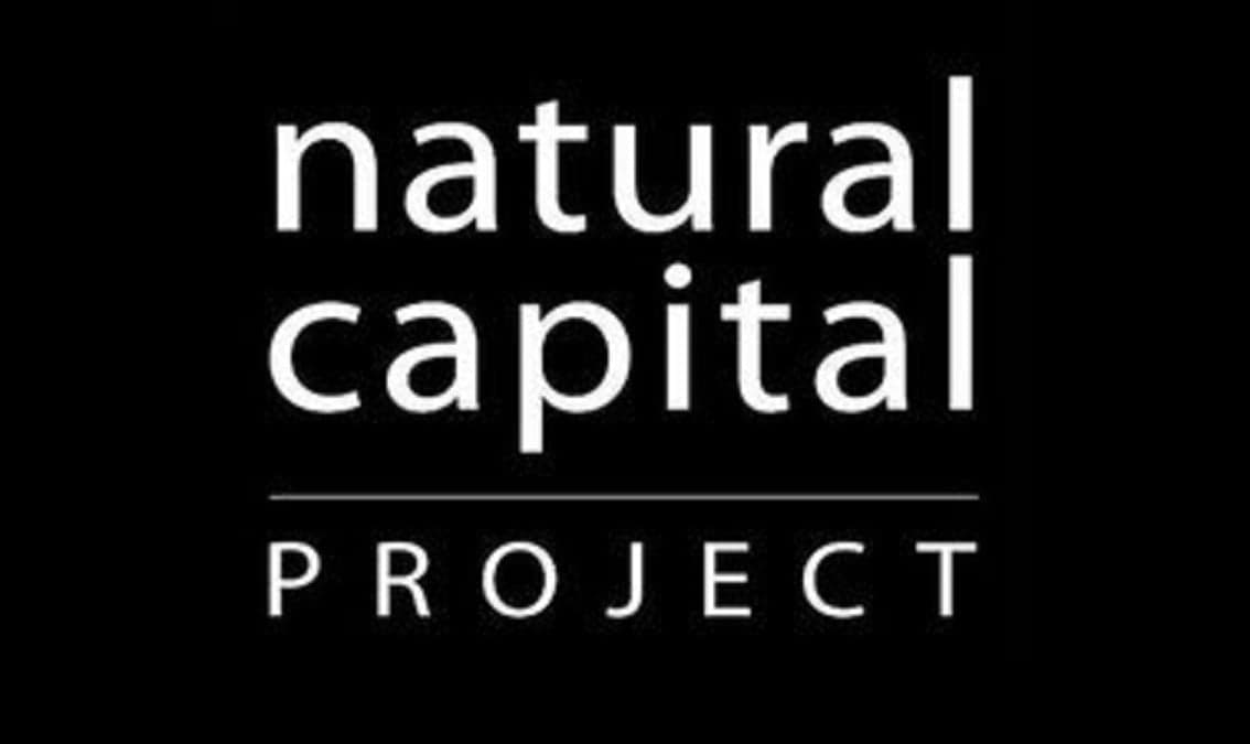 Introducción al enfoque del proyecto Capital Natural.