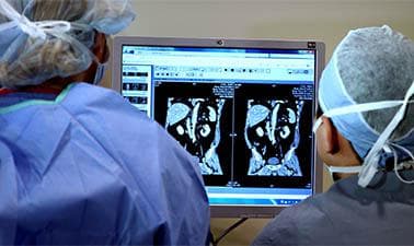 HarvardX: Improving Global Health: Focusing on Quality and Safety