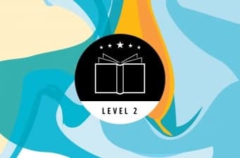 Health Professional Teaching Skills – Level 2 – Strategies