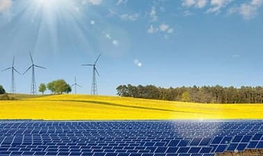 Introduction to Environmental Science