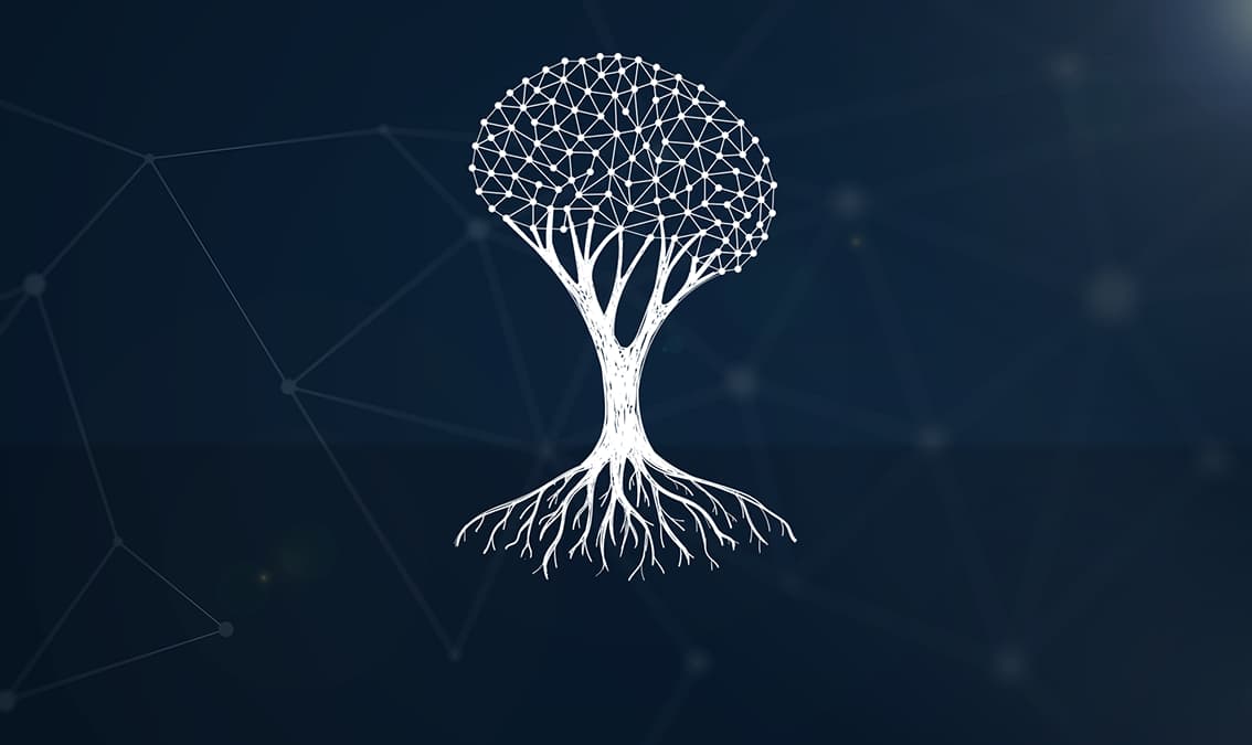 Deep Learning through Transformative Pedagogy