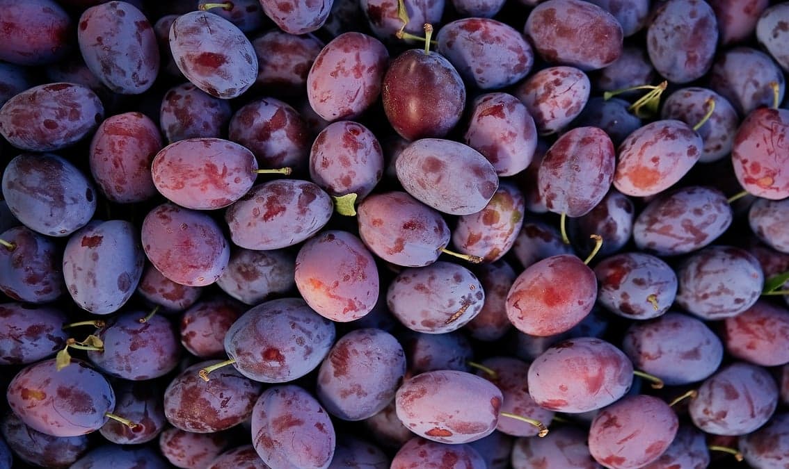 Explore How Farmers Produce Food Sustainably