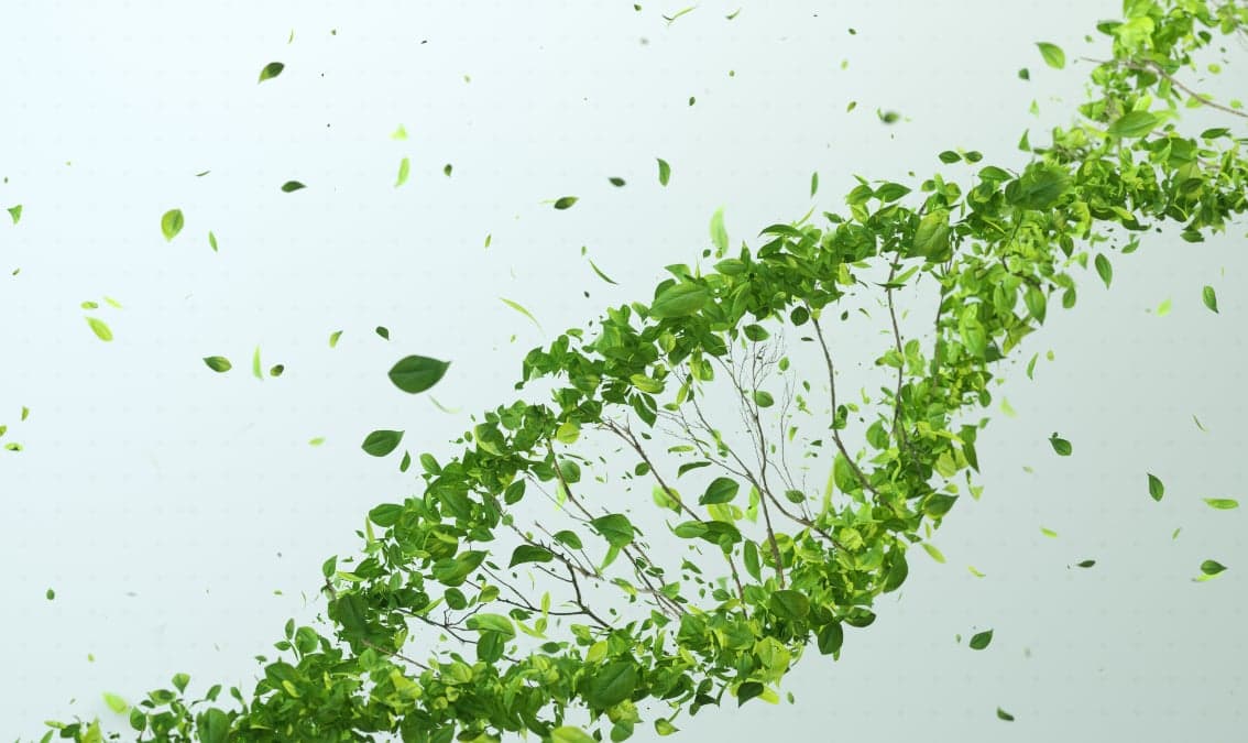 Climate Change in Business Foundations: Net-Zero Transition