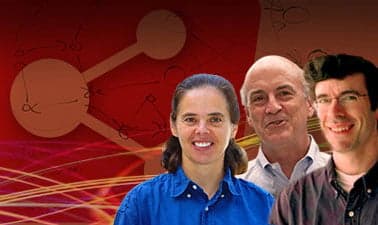 Networks, Crowds and Markets