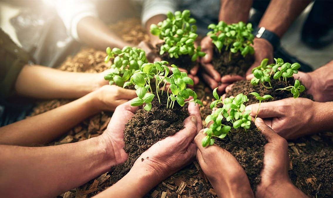 Emotional Resilience and the Ecological Self