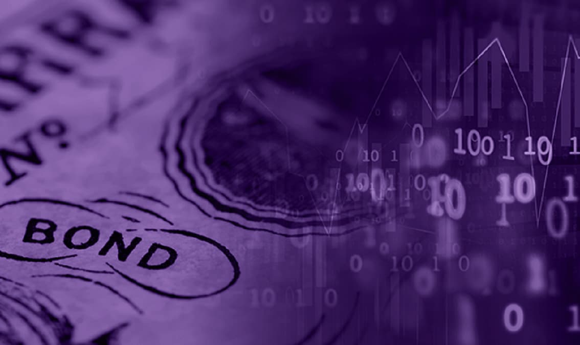 Public Debt Dynamics under Uncertainty