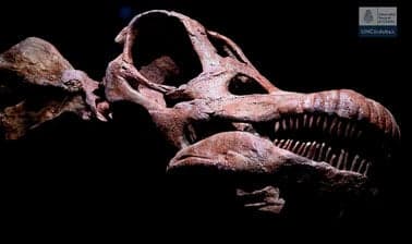 UNCordobaX: Dinosaurios de la Patagonia
