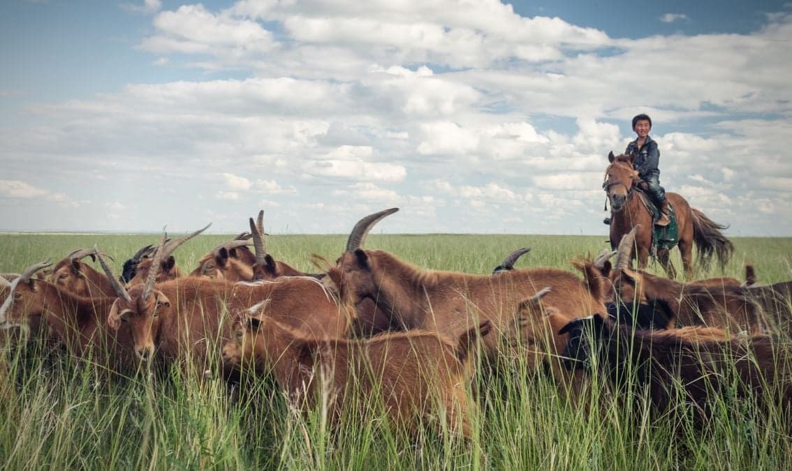 One Health in Practice: Solutions for healthy people in Biosphere reserves