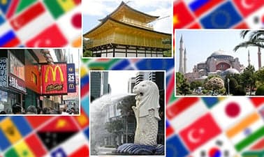 International Business Environment and Global Strategy