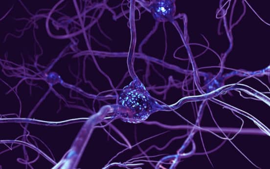 Neuroscience for Business