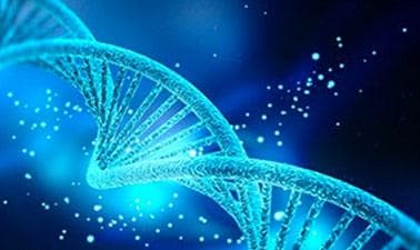RICEx: AP® Biology - Part 3: Evolution and Diversity