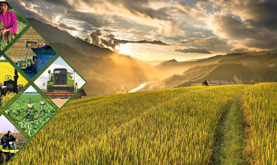 e-Learning on Digital Agriculture