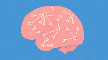 HarvardX: Fundamentals of Neuroscience, Part 3: The Brain