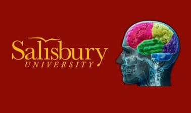 SU, USMx: Alzheimer’s Disease & Dementia Care