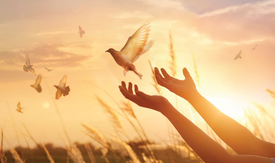 Navigating Peace Education in Times of Conflict