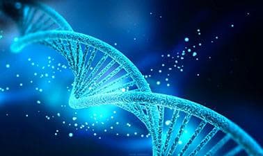 RICEx: AP® Biology - Part 1: The Cell