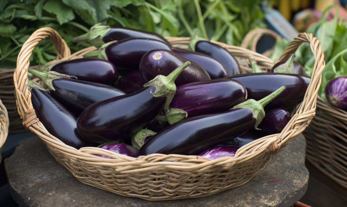 Revolutionising the Food Chain with Technology