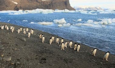 UCx: Antarctica in a Changing Climate