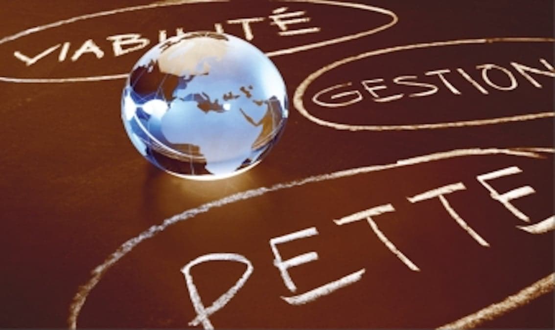 Viabilité et gestion de la dette des pays à faible revenu