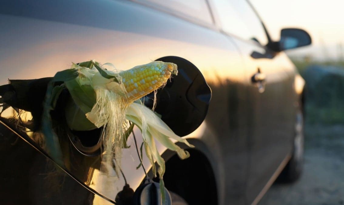 From Fossil Resources to Biomass: A Chemistry Perspective