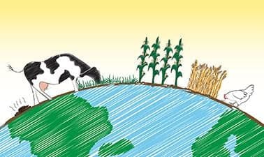 WageningenX: Sustainable Food Security: The value of systems thinking